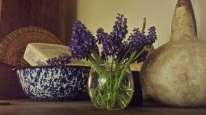 BohoFarmsBlogpost photo gourds hyacinth bluewhite enamel